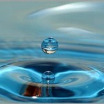 Suların Kısımları